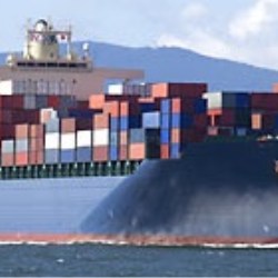 Import and Export services